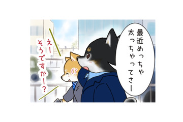 「太っちゃったんだよな」先輩をよく見ると、柴犬のチャームポイントの「あそこ」にお肉が…【がんばれ！しばりーまん #３】 画像