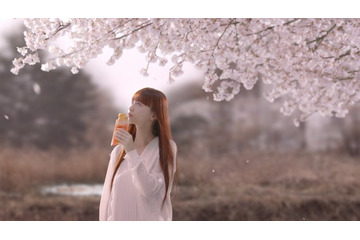 鈴木えみ、マック新CMでケツメイシ名曲「さくら」MVを再現 21年の時を経て母親役に 画像