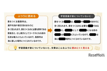 ショート動画で語彙不足「9歳の壁」を越える読む力の重要性 画像