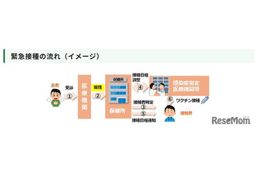 東京都、麻しん接触者に無料ワクチン接種…緊急事業開始 画像