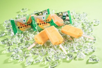 ファミマ、メロン果汁21％の濃厚アイスが今年も登場 夕張＆富良野の恵みを贅沢に配合 画像