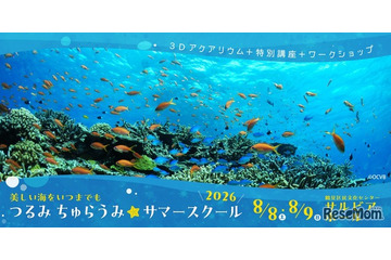 【夏休み2026】横浜で沖縄の海を体験、つるみ・ちゅらうみサマースクール8/8-9 画像
