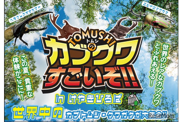 【夏休み2026】世界の人気昆虫が大集合…けやきひろば7/18 画像