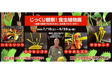 【夏休み2026】伊豆シャボテン動物公園「食虫植物展」7-9月…自由研究にも 画像