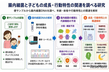 未就学児の腸内細菌、睡眠や情緒との関連を確認…金沢工業大・三重大 画像