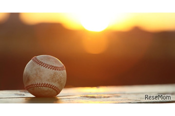 【高校野球2026夏】天理と智辯和歌山が準決勝進出、午後は花巻東vs横浜など準々決勝 画像