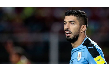 これがW杯だ！ウルグアイの大学、なんと代表試合日を「休校」にする 画像