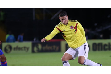 W杯日本戦は欠場か…コロンビア代表MFハメス、どうなる 画像