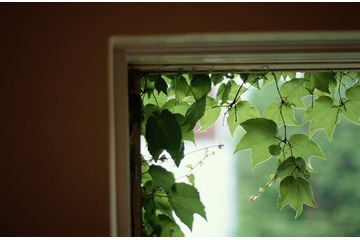 37歳子ども3人、借金返済が毎月24万8000円です 画像