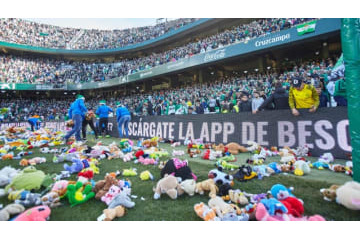 感動的！乾のベティス、寄付のためにファンがぬいぐるみを大量投下 画像