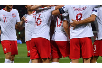 豚インフルエンザなのか？ポーランド代表、なんと8人が伝染病に感染 画像