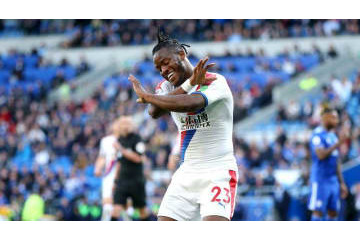 バチュアイ、日本に来てるぞ！「DB好き」の彼はどこへ 画像