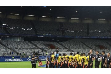 コパ・アメリカ「タダ見客」の数がハンパじゃなかった 画像