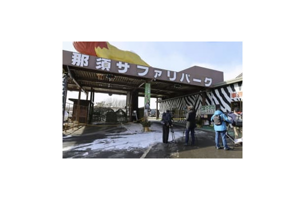 「那須サファリパーク」＝5日、栃木県那須町