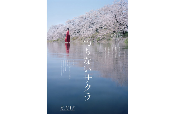 杉咲花主演「朽ちないサクラ」ティザービジュアル（C）2024 映画「朽ちないサクラ」製作委員会