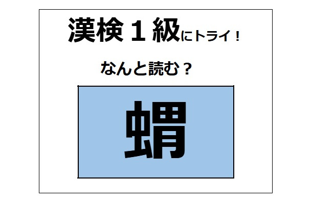 「蝟」の読み方、わかる？「蛸（たこ）」じゃないよ。とてもかわいらしい哺乳動物！【漢字クイズ】