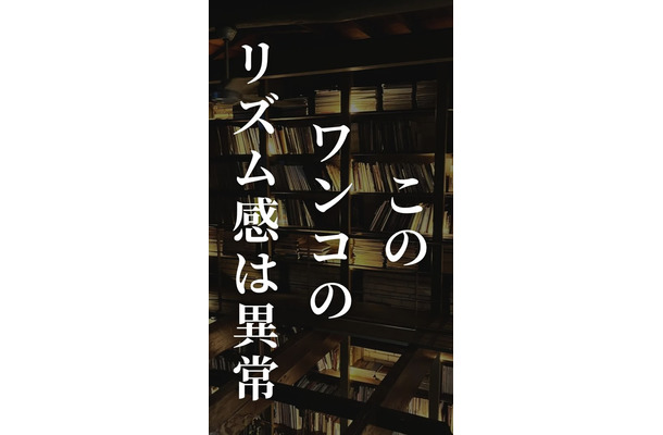 「この犬、音楽の才能が異常だって！」「脅威のリズム感」「目が離せない！」ドラムを叩くワンちゃんと飼い主のセッションは見ものです