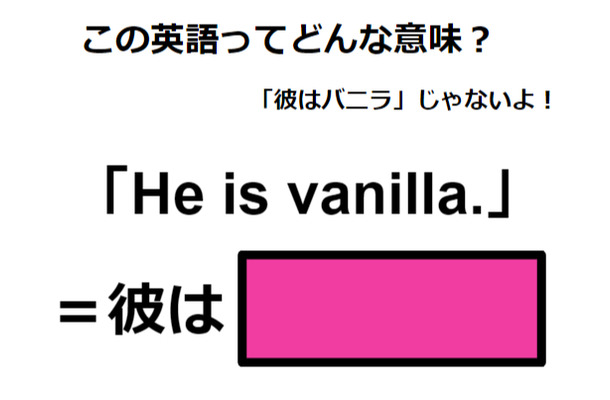 この英語ってどんな意味？「He is vanilla. 」