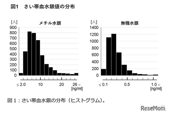 さい帯血水銀の分布（ヒストグラム）