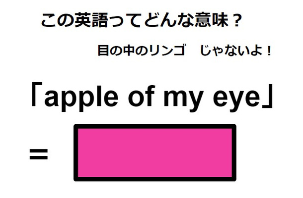 この英語ってどんな意味？「apple of my eye」