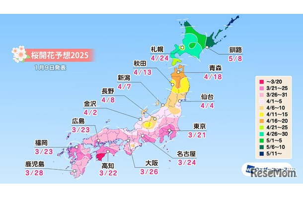 2025年「第一回桜開花予想」