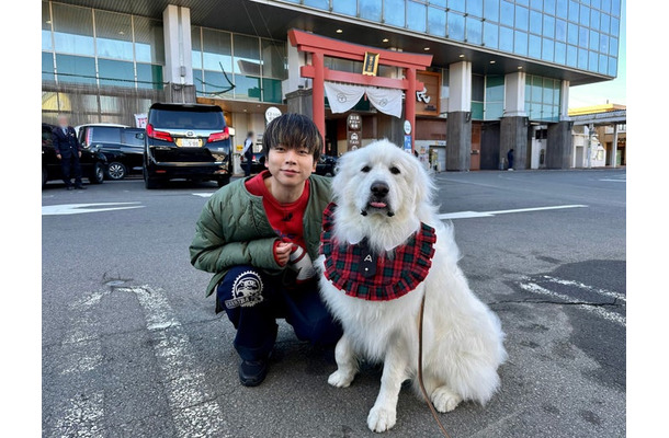 増田貴久（C）日本テレビ