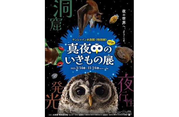 サンシャイン水族館 特別展「真夜中のいきもの展」