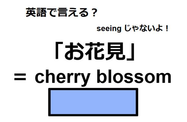 英語で「お花見」はなんて言う？