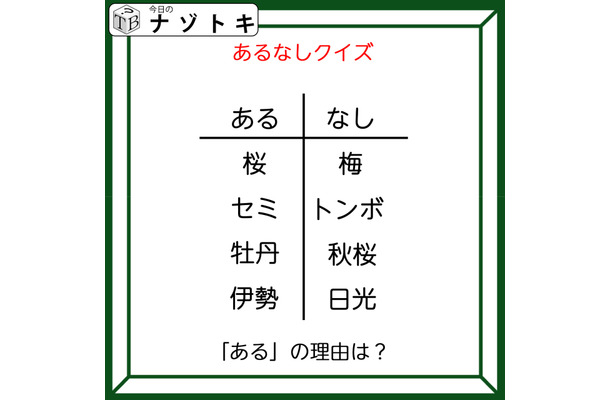 あるなしクイズです！「桜にあって梅にない！」答えは美味しいアレ！【難易度LV２.・甘口】