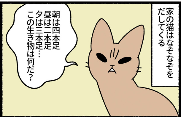 「朝は四本足、昼は二本足…」なぞなぞを出してくる猫。しつこすぎて無視したら？【ねこもんすたー ニャーオ! ＃８】