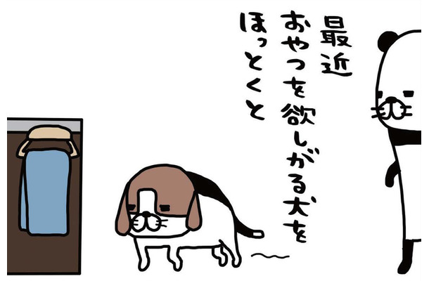 食事はカリカリとジャーキーの繰り返し。全く飽きたそぶりナシ？【パンダと犬 ＃15】