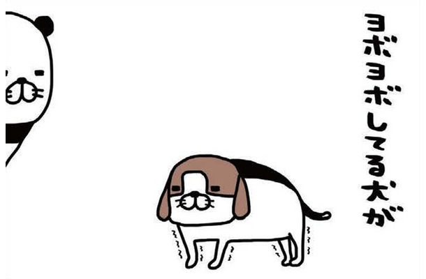 ヨボヨボ愛犬、一人でできないことが増えるばかり。それでも愛おしすぎるのはナゼ？【パンダと犬 ＃35】