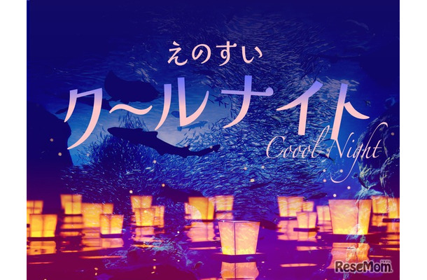 えのすいクールナイト