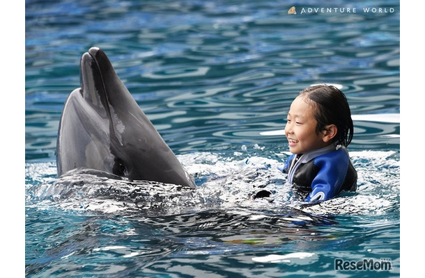 「Swimming with Dolphin～Deep emotion～」のようす
