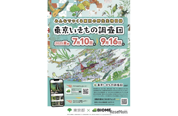東京いきもの調査団 2025夏編 チラシ