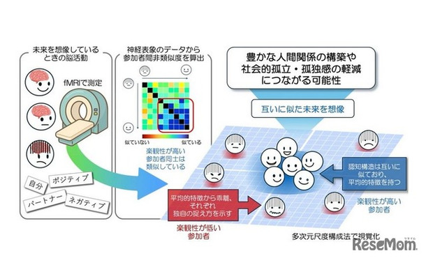 研究の概要図