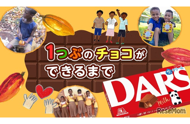 1つぶのチョコができるまで