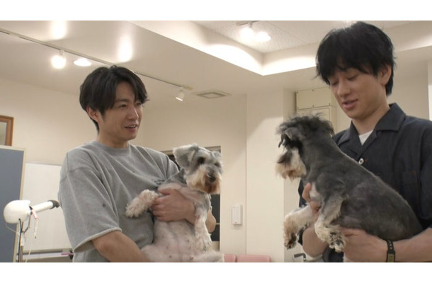 相葉雅紀、横山裕「嗚呼！！みんなの動物園」（C）日本テレビ