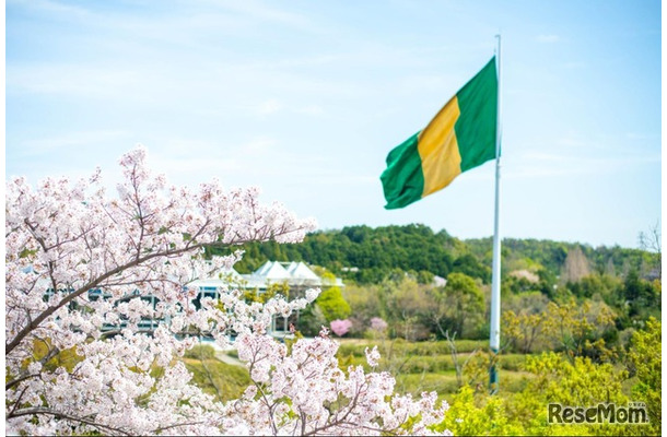 名古屋商科大学