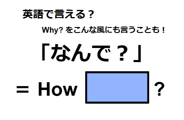 英語で「なんで？」は何て言う？