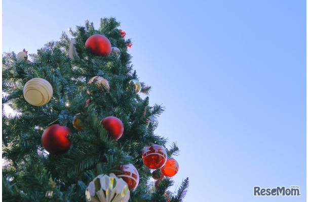 ※画像はイメージです