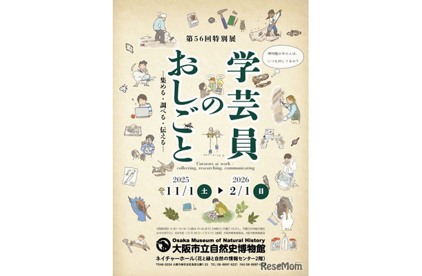 チラシビジュアル