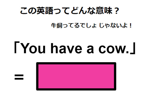 この英語ってどんな意味?「You have a cow.」