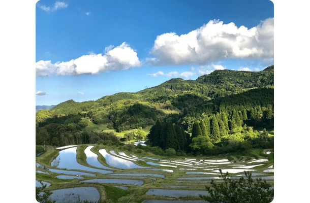 鴨川の大山千枚田(提供写真)