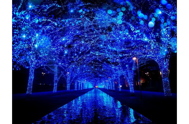 青の洞窟 SHIBUYA／提供画像