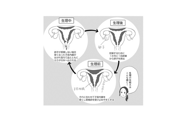 月経痛と過多月経の緩和に効果的なピル。10代でピルを服用するメリットは？【産婦人科医に聞く わたしとカラダの選択肢  #９】