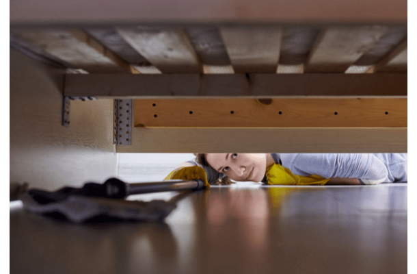 ベッドの下からの「ガサゴソ」と音がして違和感。恐る恐る覗いた瞬間⇒「力が抜けた」「なんとも愛おしい」