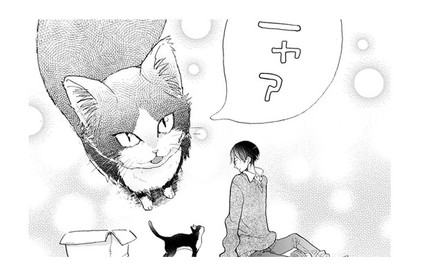 子どもの頃に読んだ絵本。太陽と月は友達だと思ったっけ… 猫の名前、決めた…【同居人はひざ、時々、頭のうえ。 #17】