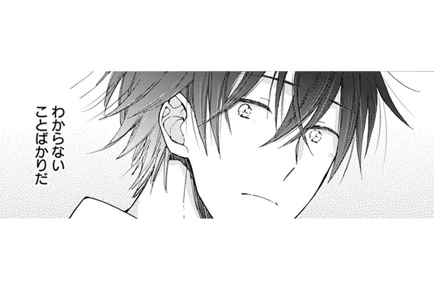 もふもふに触れてみたら、少しだけ猫のことがわかる!? …やっぱり何考えてるのかわからない!!【同居人はひざ、時々、頭のうえ。 #29】