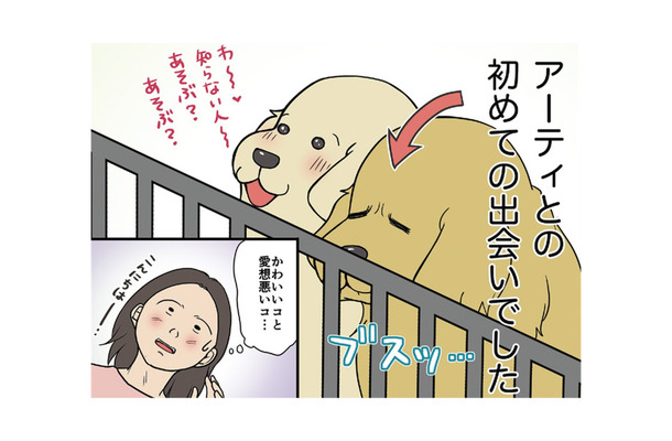 初めての出会いはブスっとした顔…愛想のない仔犬との共同生活の始まり…【おさんぽですし！　おしゃべり犬とイライラ猫の日記 #１】
